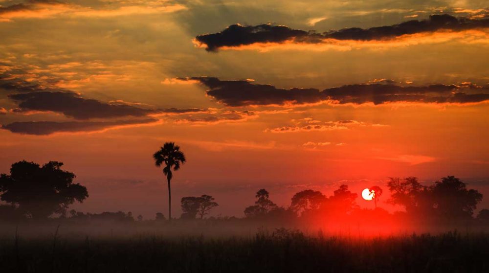 Coucher de soleil au Deta de l'Okavango au Botswana