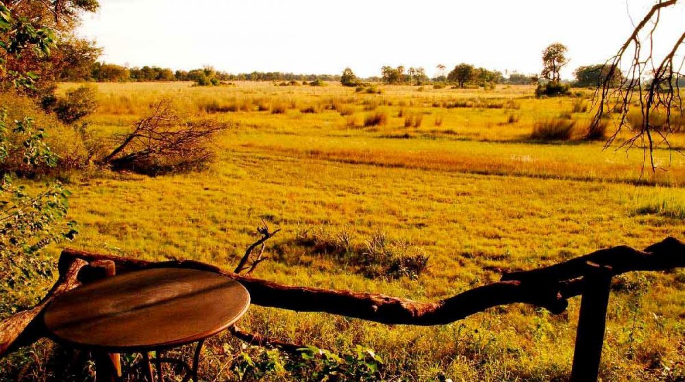 Les plaines à perte de vue au Chitabe Camp