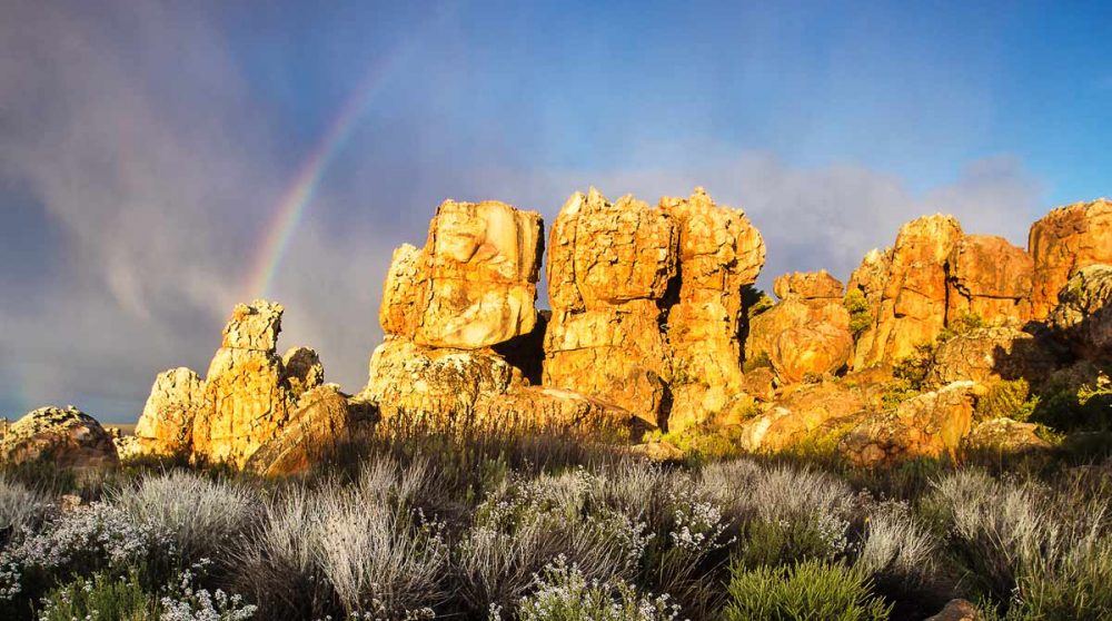 L'environnement de Kagga Kama