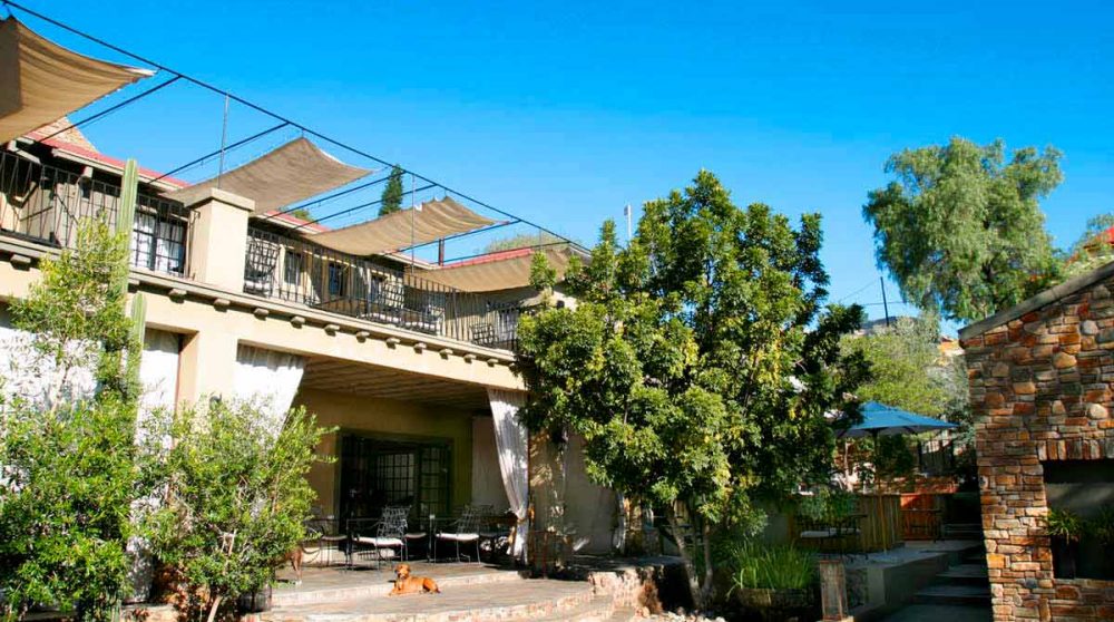 Bienvenue au Olive Grove