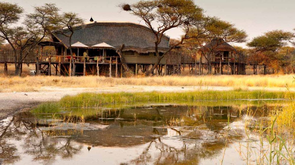 L'Onguma Tree Top Camp à Etosha en Namibie