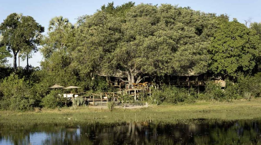 Le camp niché dans la verdure au Botswana