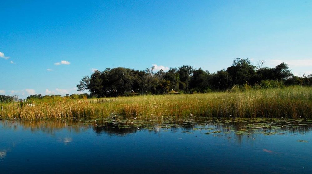 Nous y sommes presque