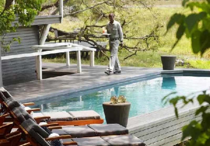 La piscine du camp au Botswana