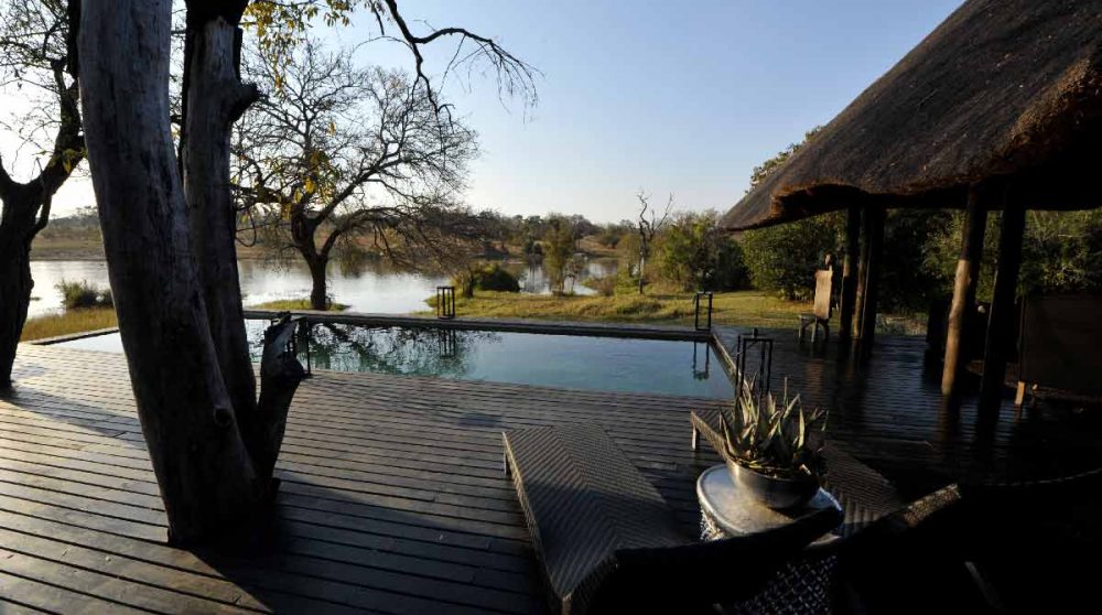La piscine avec le jardin