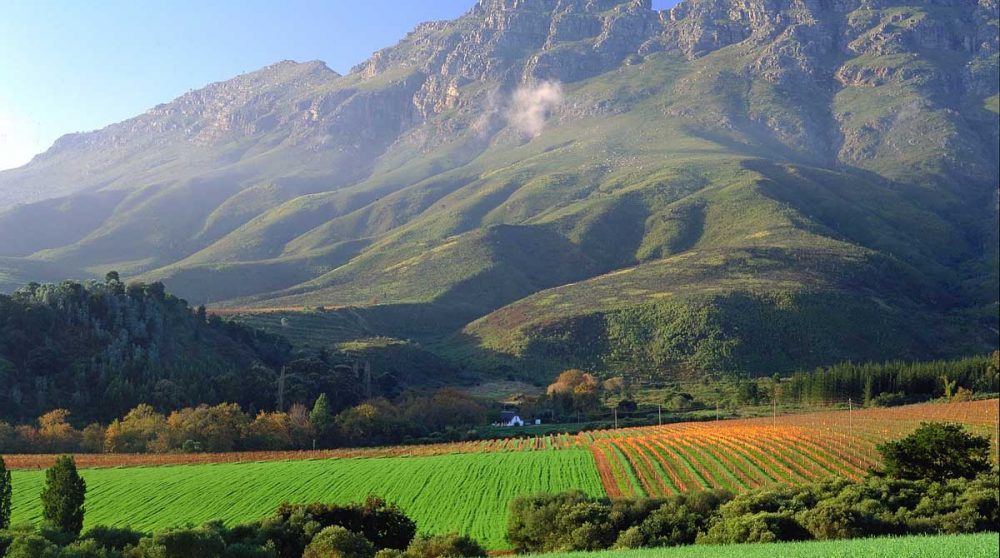 Les montagnes de Simonsberg près de Stellenbosch