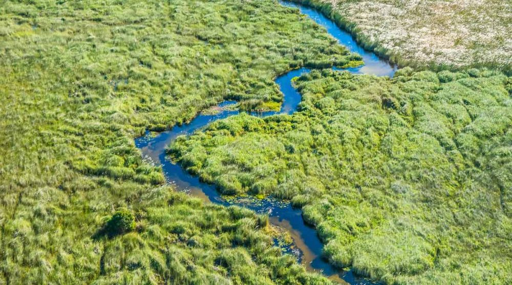 Vue aérienne de l'Okavango verdoyant