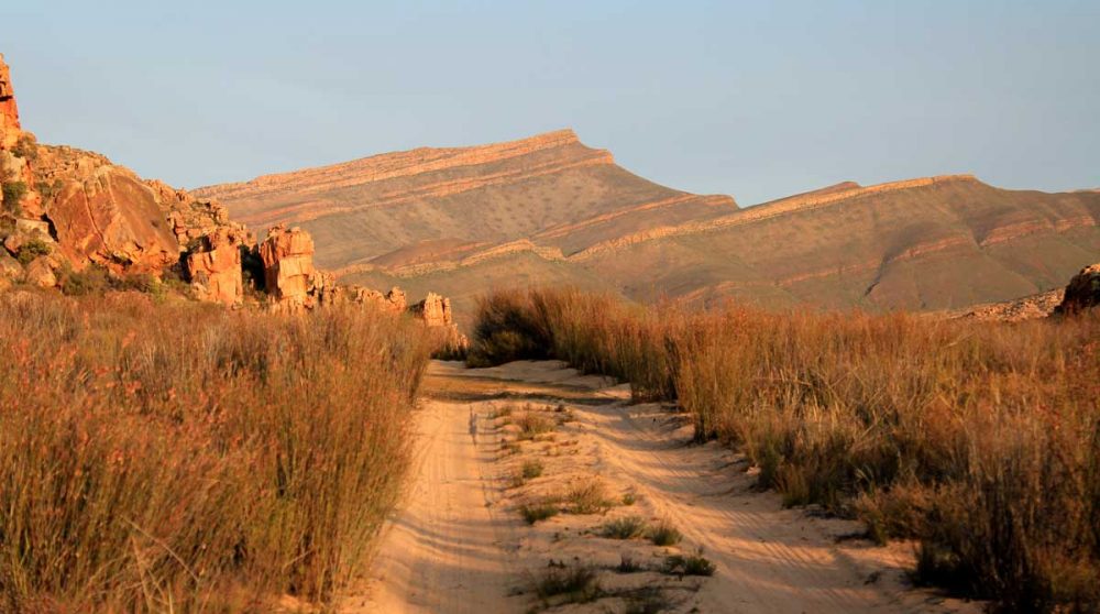 Piste dans le Cederberg