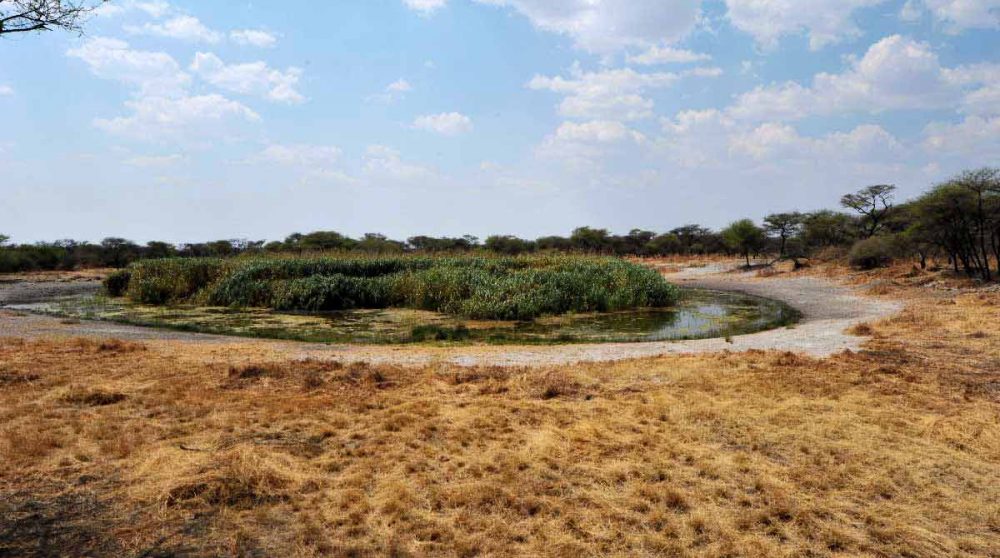 Vue infinie sur les plaines