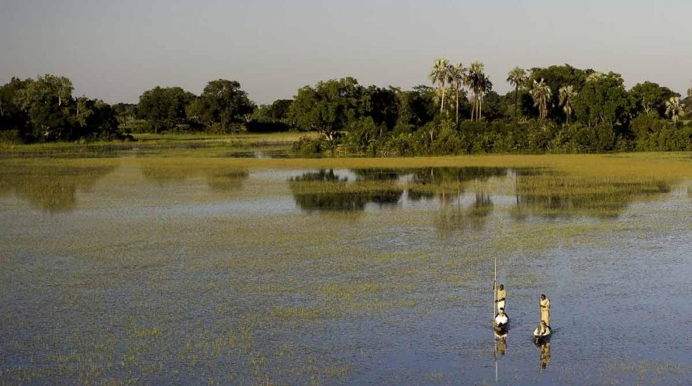 En mokoro sur le Delta de l'Okavango