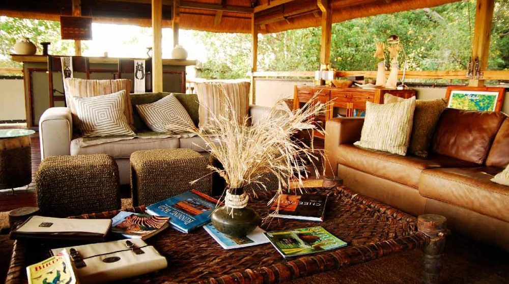 Pause lecture dans le lounge