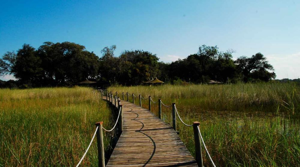 Le ponton qui mène à Little Vumbura Camp
