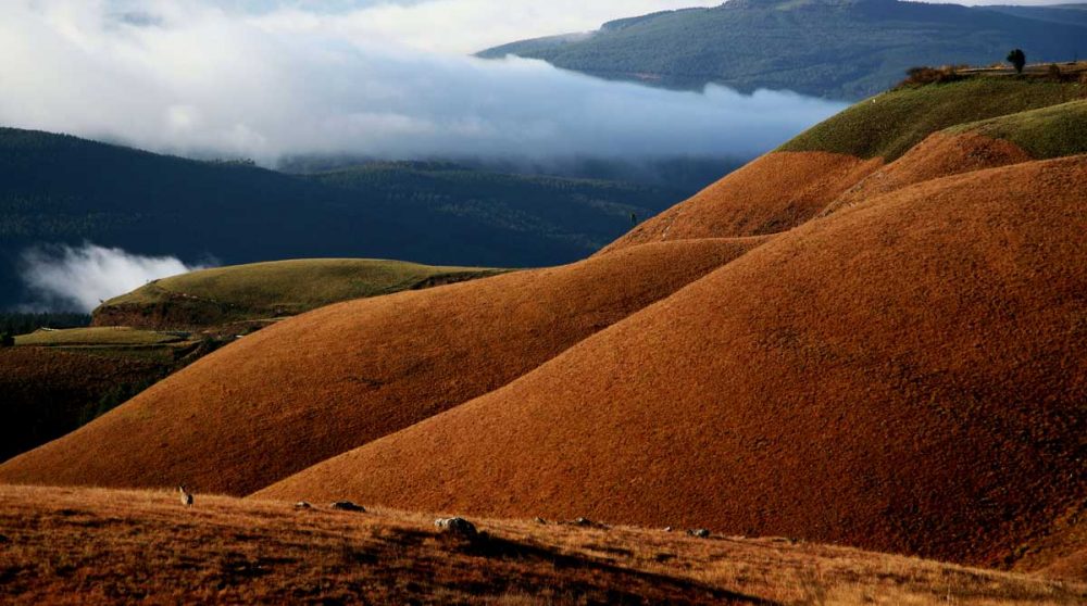 Le col de Long Pass en hiver du Mpumalanga