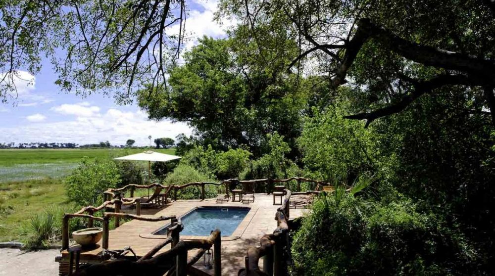 La piscine de Tubu Tree camp