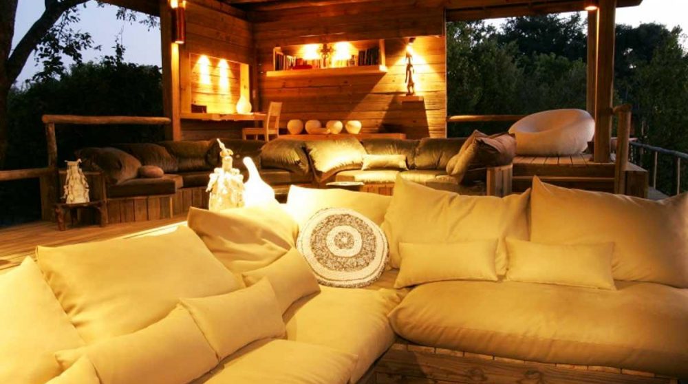 Le salon dans le Delta de l'Okavango