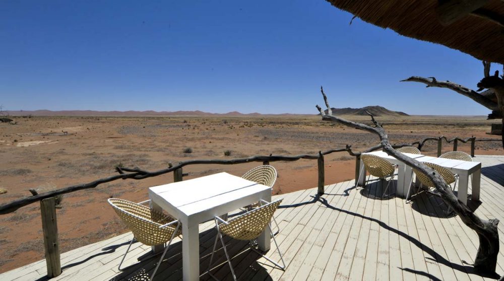 Vue sur la savane en Namibie