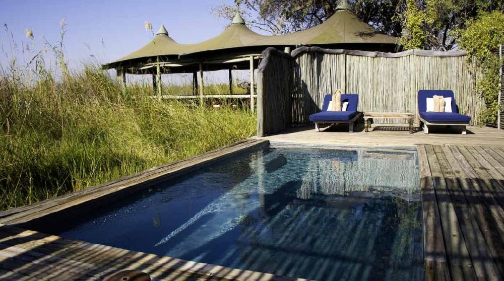 La piscine au Botswana