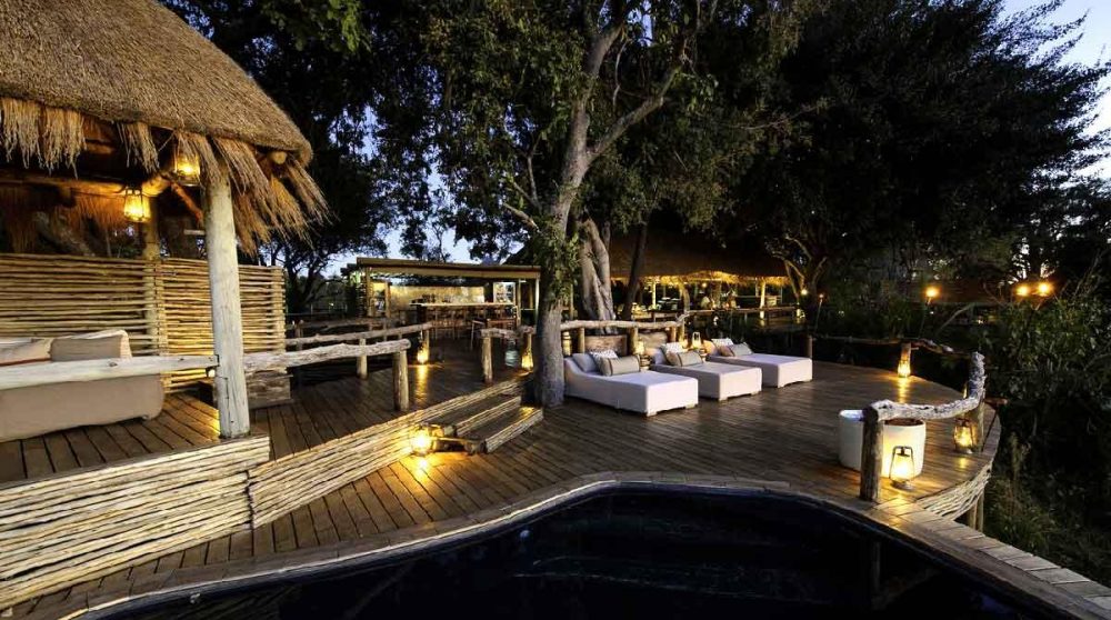 Depuis la piscine au Botswana