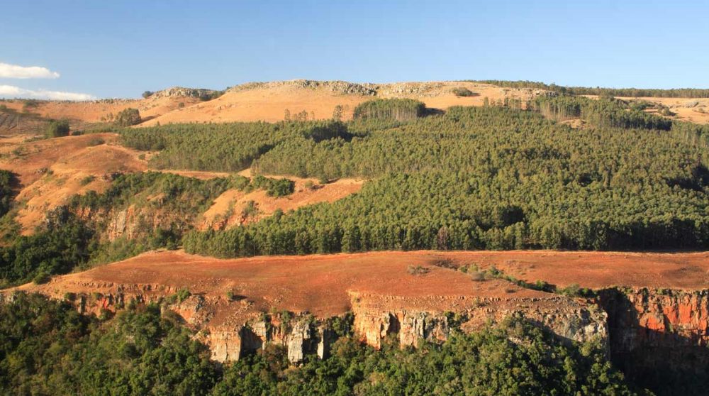 Paysage du Mpumalanga