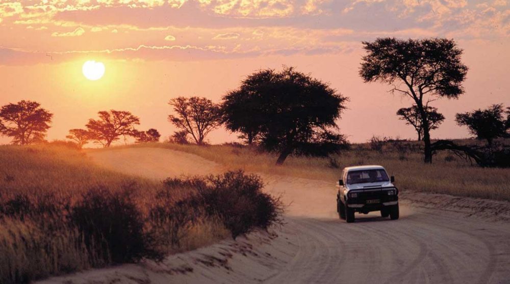 Coucher de soleil dans le Kgalagadi Transfrontier Park