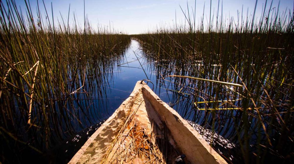 Croisière dans un mokoro dans l'Okavango