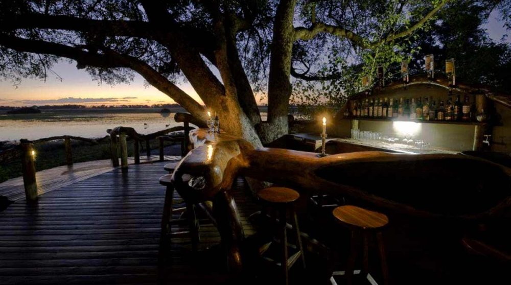 Le bar dans le Delta de l'Okavango