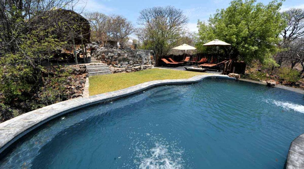 La grande piscine du lodge à Etosha