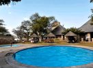 La piscine à Etosha