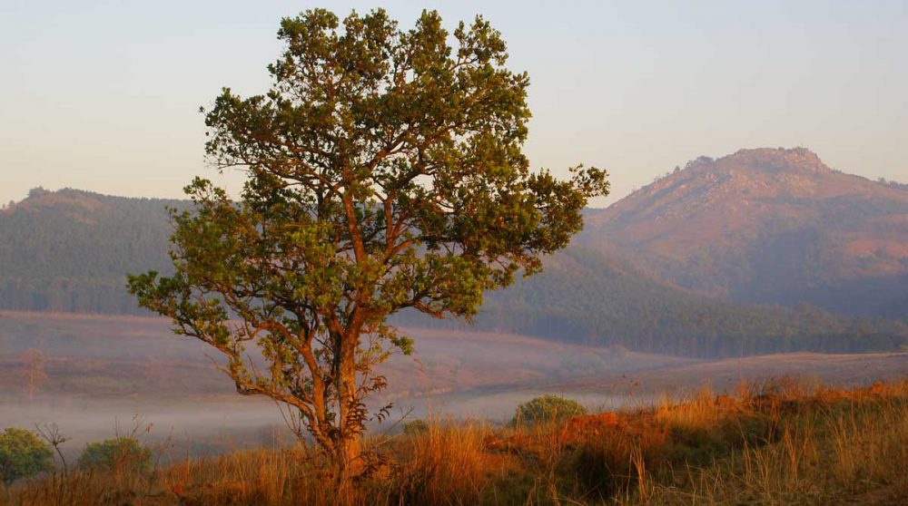 Coucher de soleil sur les montagnes