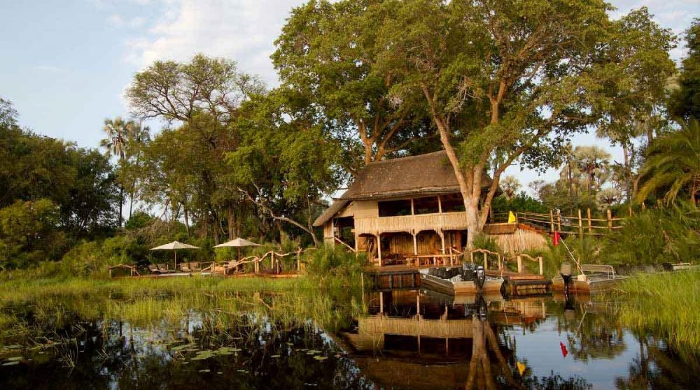 A quelques mètres de Jacana camp