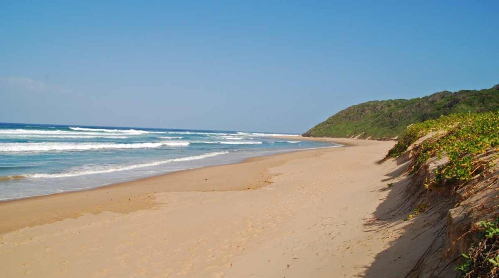Les plages sauvages de l'océan Indien
