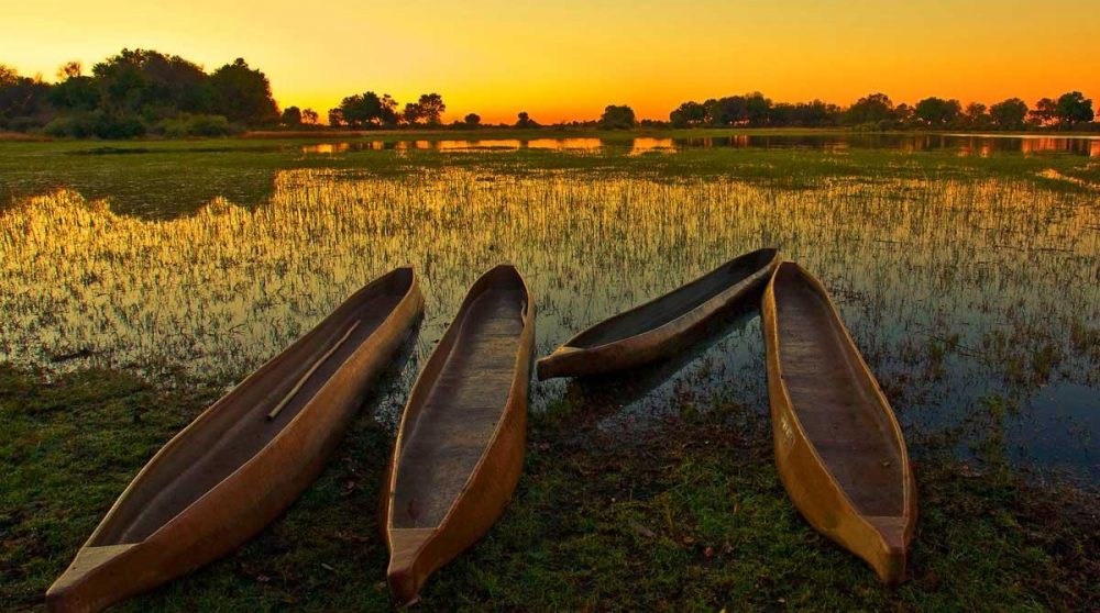Coucher de soleil sur les eaux de l'Okavango au Botswana