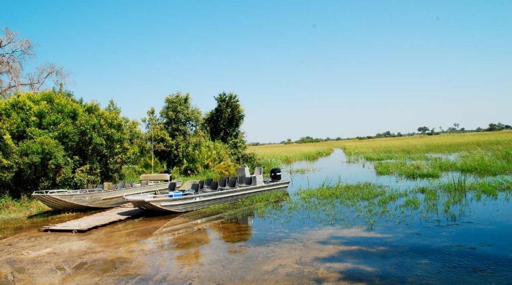 Les bateaux pour les safaris dans le Delta de l'Okavango