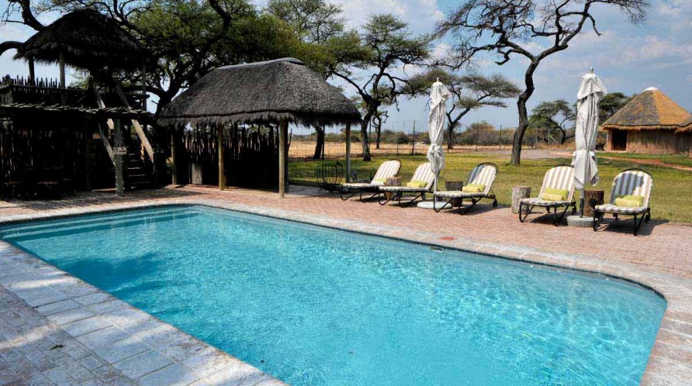 La piscine à Etosha