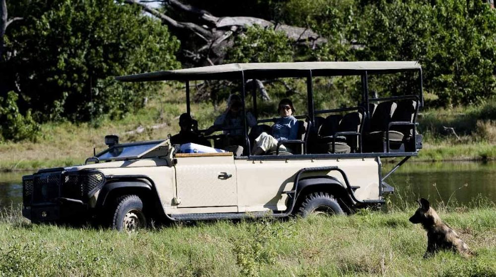 En safari dans le Delta de l'Okavango