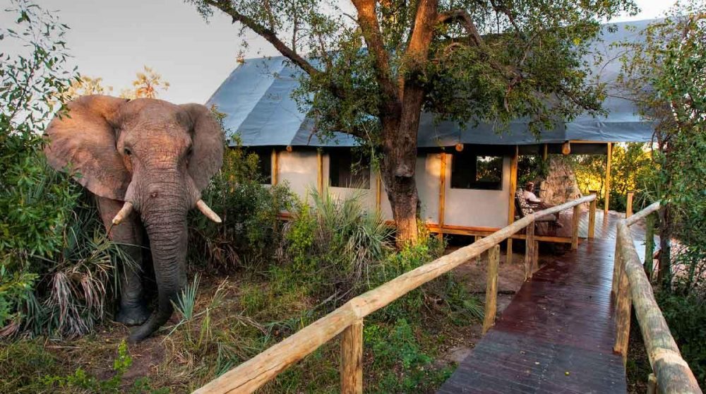 En chemin vers l'une des tentes