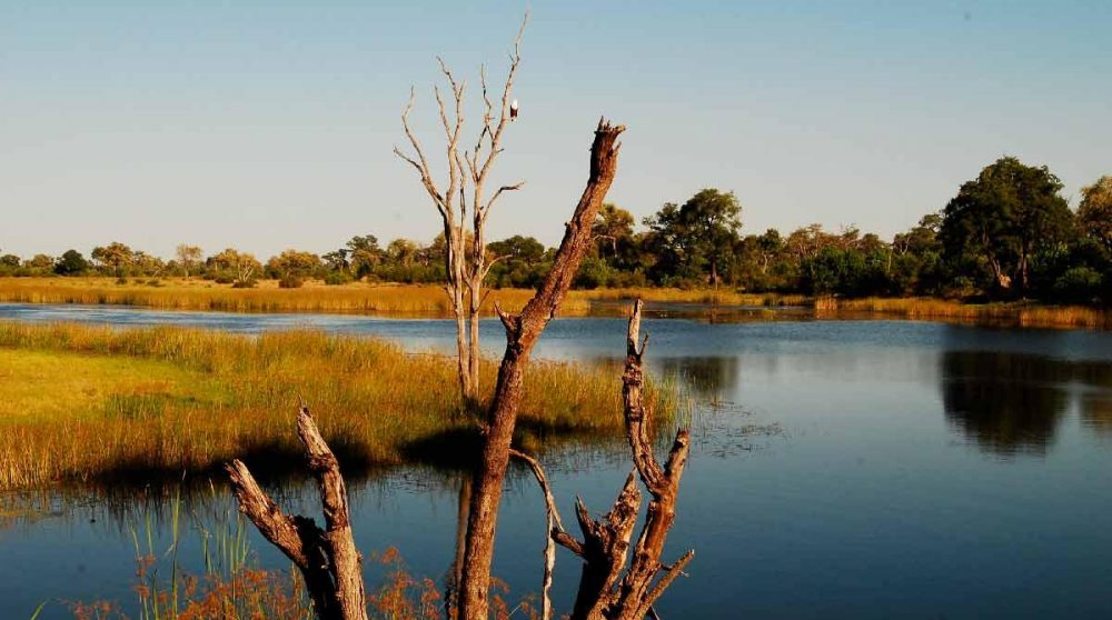 Le lagon face à Savuti Camp