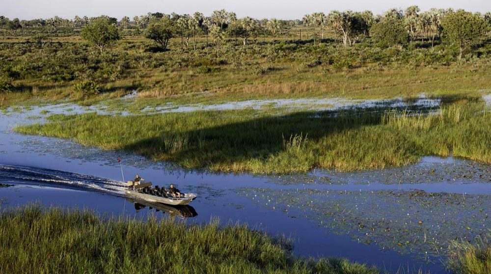Safari en bateau à moteur au Botswana