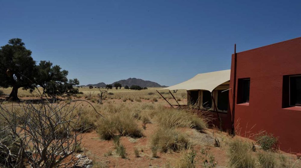 Paysage de savane près d'une tente
