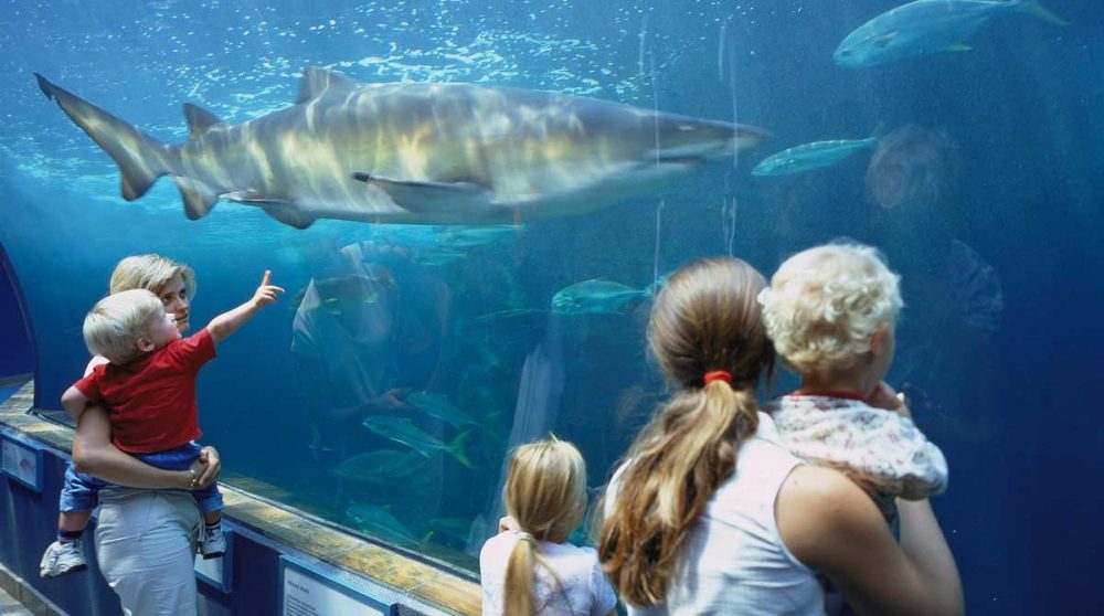 L'aquarium de Two Oceans