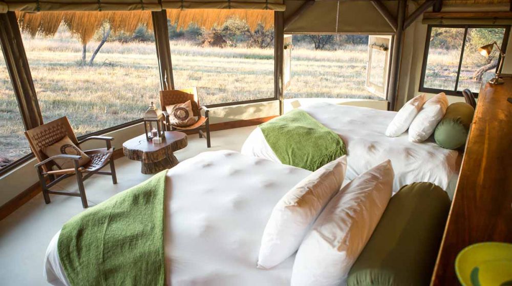 Vue générale de l'une des tentes