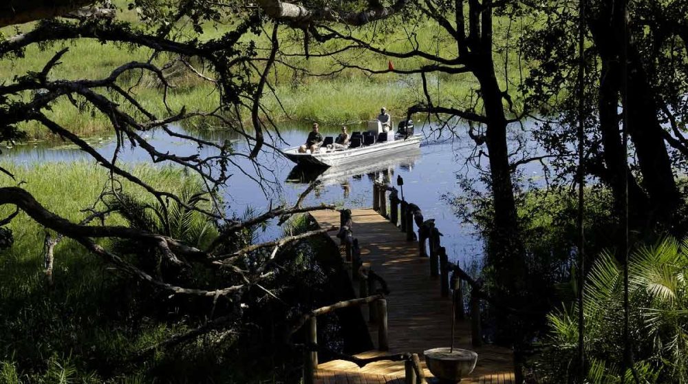 Retour de safari au Botswana