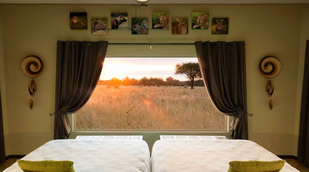 View room et vue sur la savane