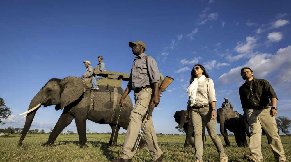 Safari à l'Abu Camp