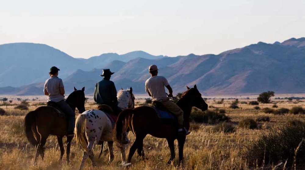 Balade avec des chevaux en Namibie