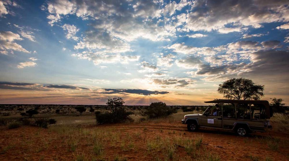 Safari près du lodge en Namibie