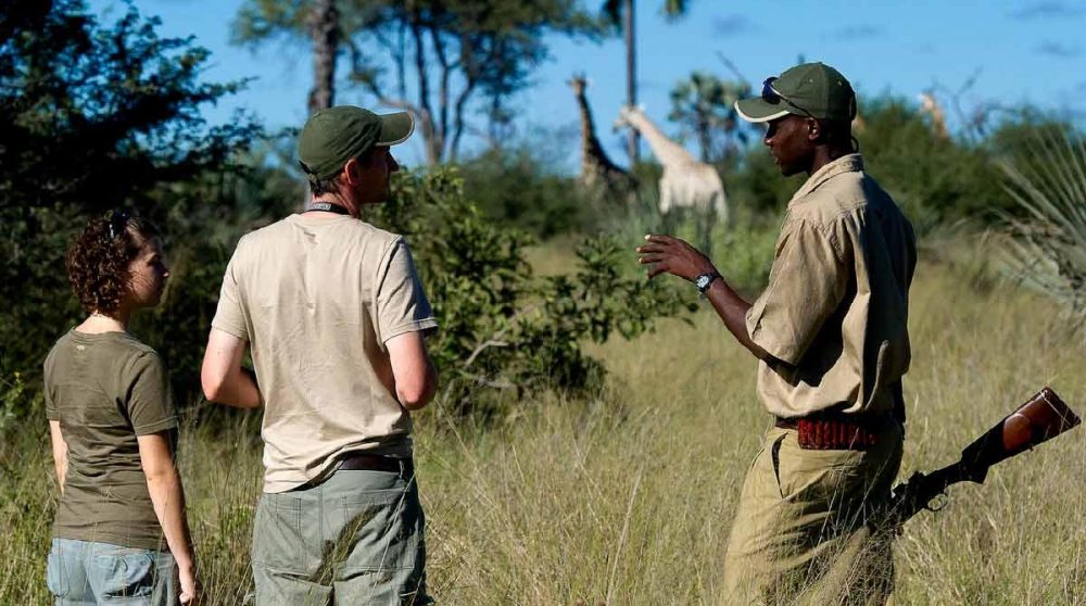 En compagnie du ranger au Botswana
