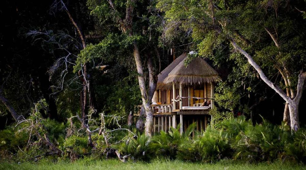 Une tente nichée au cur de la nature au Botswana