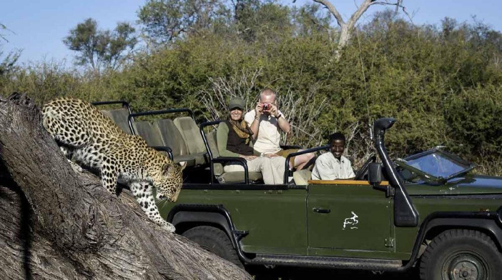 Rencontre avec un léopard
