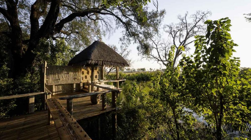 Vue sur la nature depuis le camp